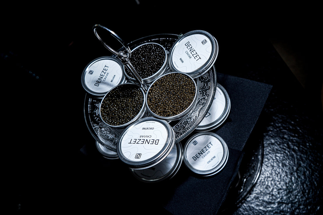 Benezet Caviar : le voyage d’exception de l’esturgeon à votre palais