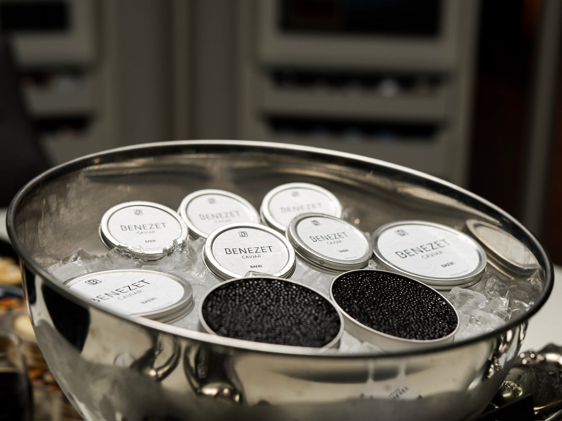 Benezet Caviar x Bentley Zug