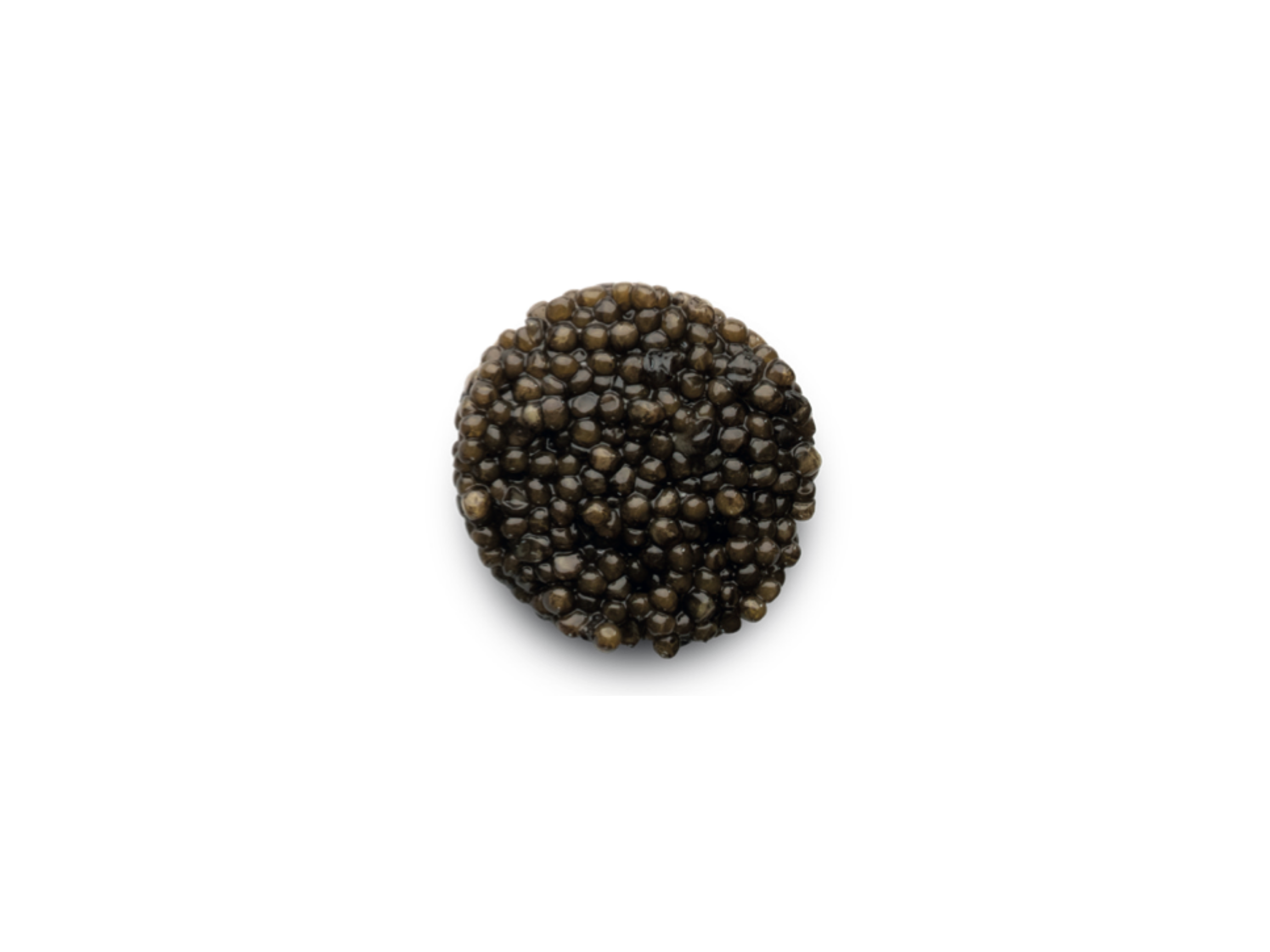 Caviar Baeri