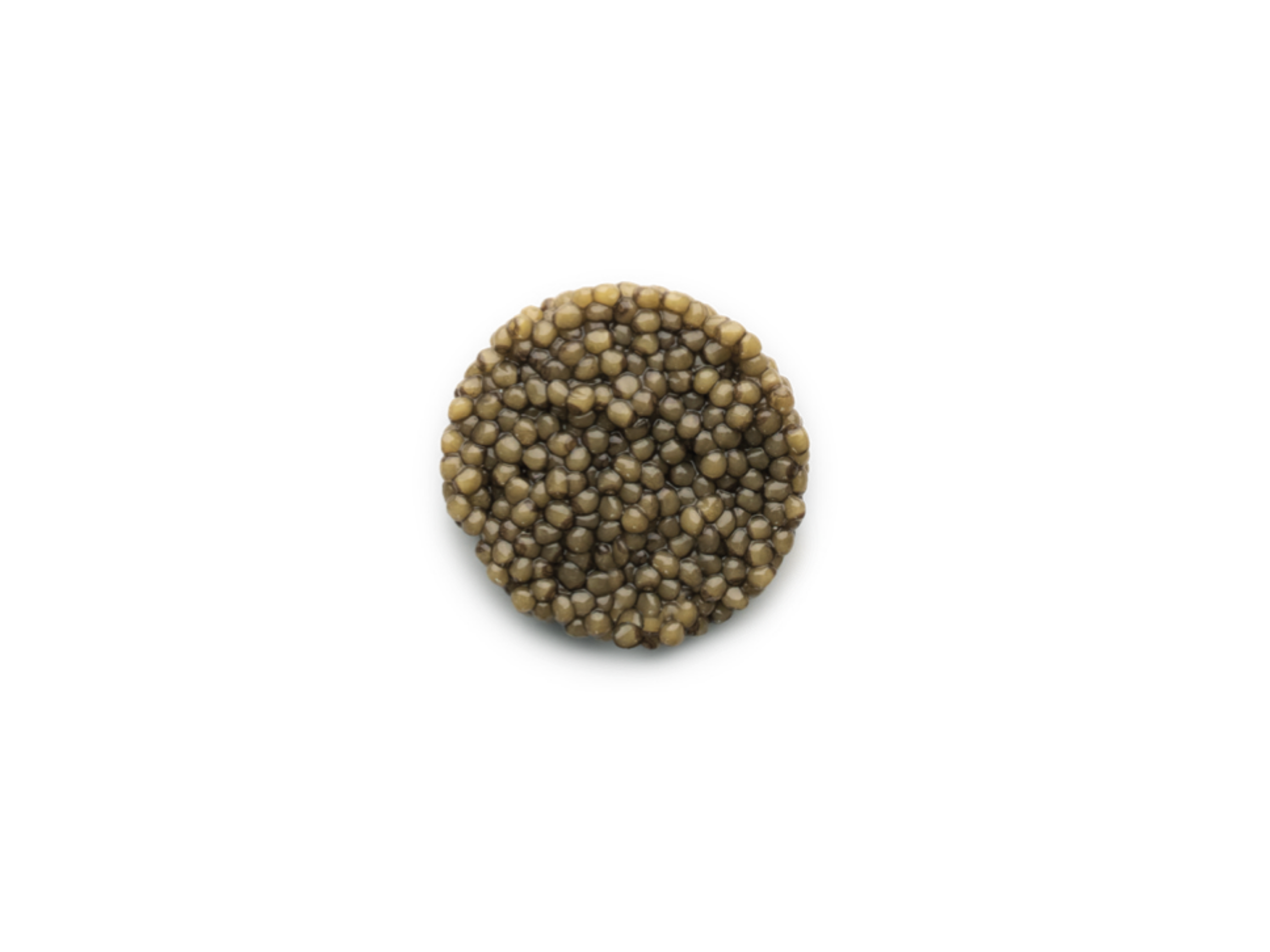 Caviar Oscietre