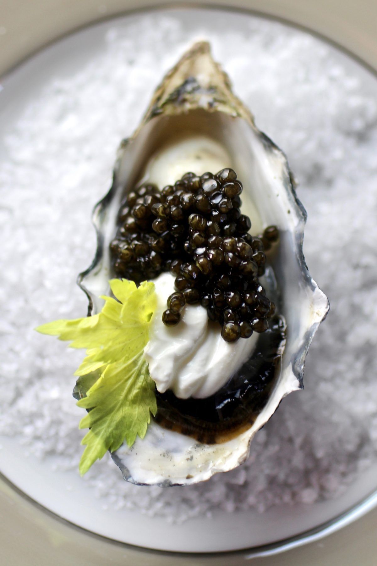 Caviar Beluga