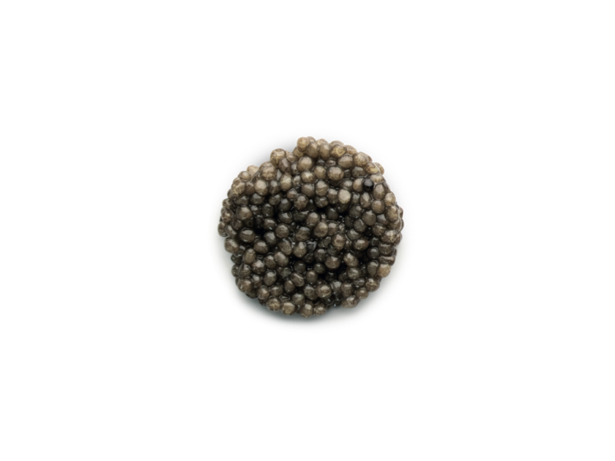 Caviar Beluga