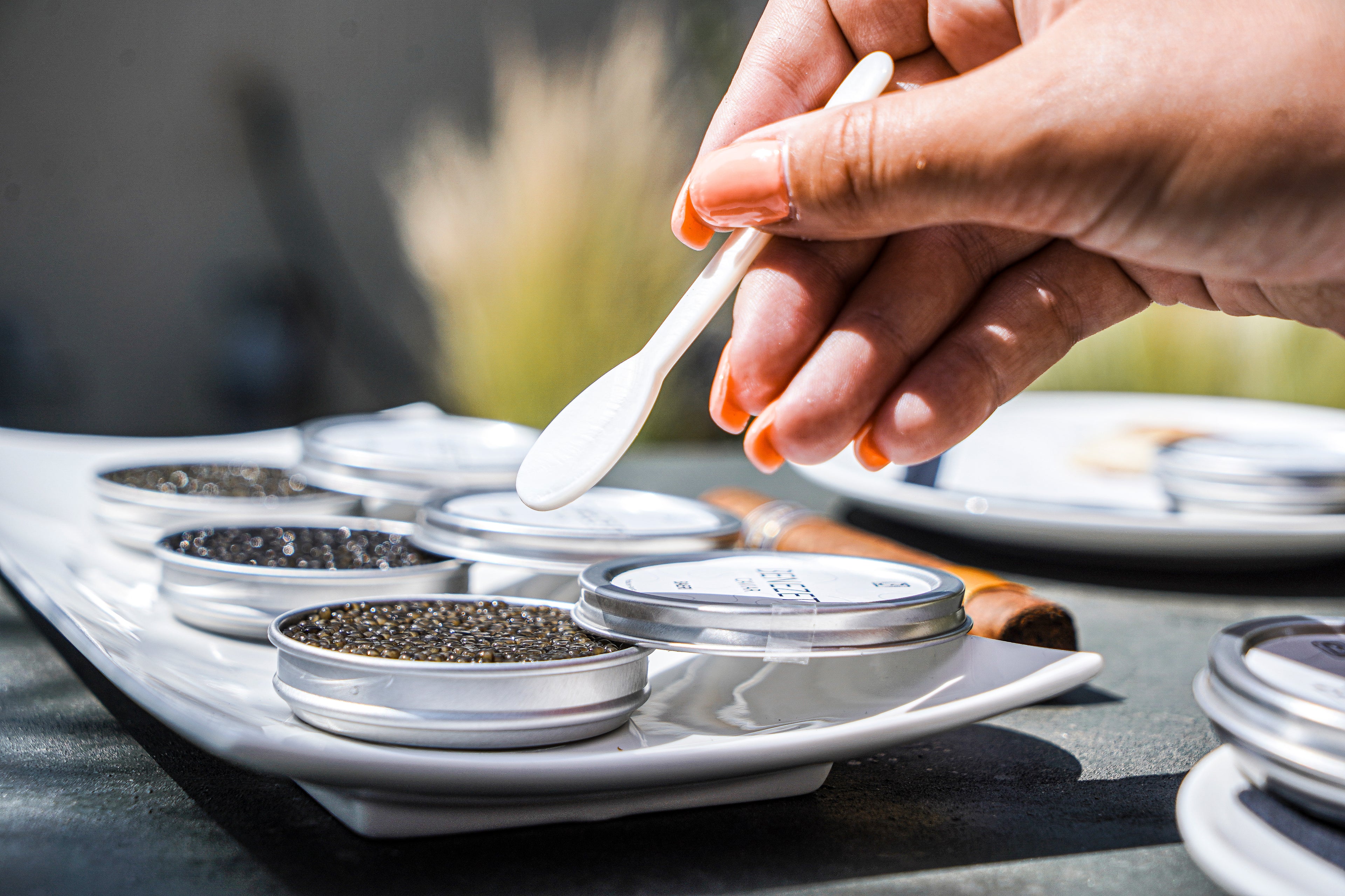 table de jardin avec les 3 boites de caviar benezet caviar contenant les 3 sortes de caviar proposés par la marque : baeri, oscietre et béluga, une main tenant une cuillère en nacre benezet caviar, s'apprêtant à prélever du caviar dans la boite en aluminium