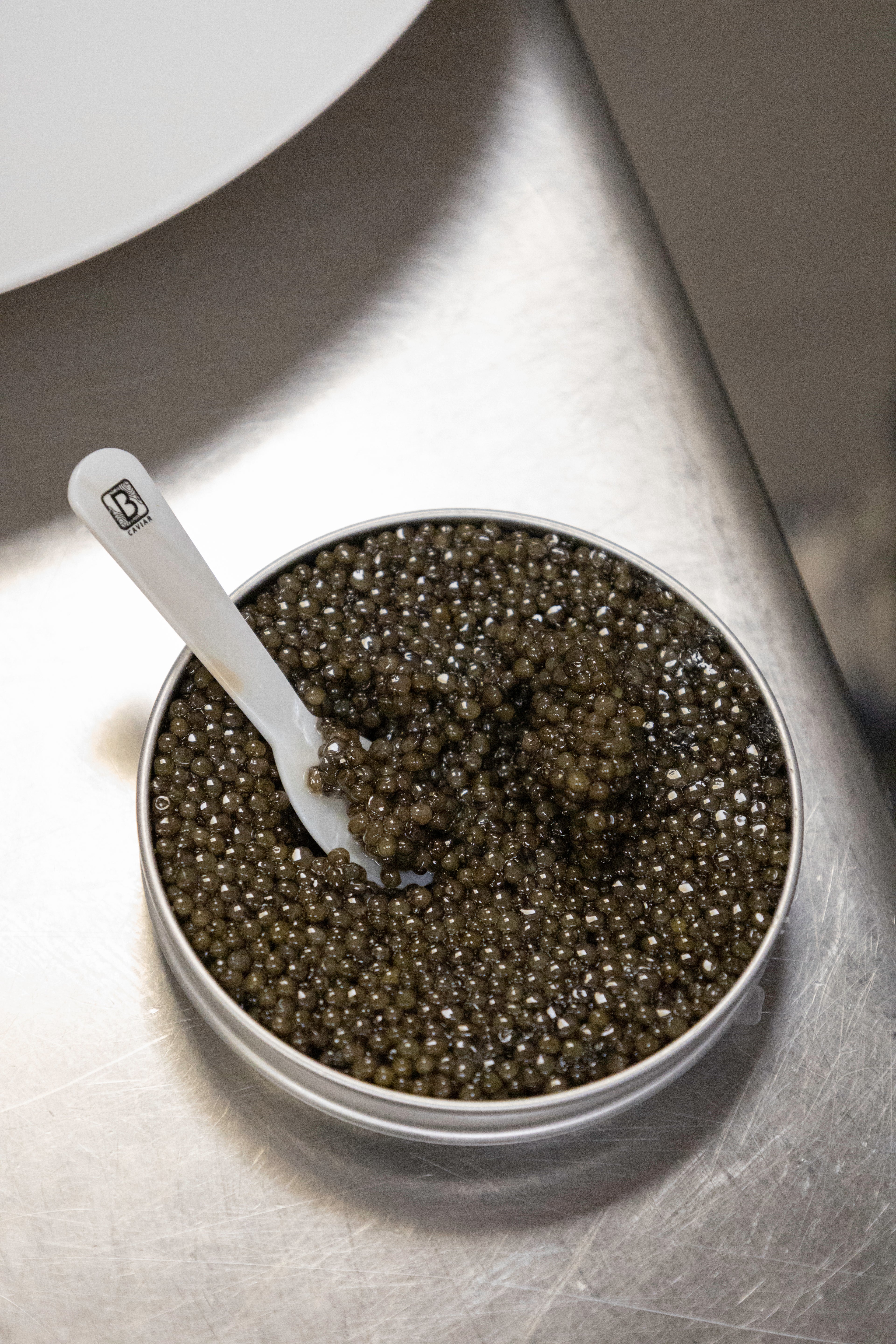 Mother-of-pearl spoon