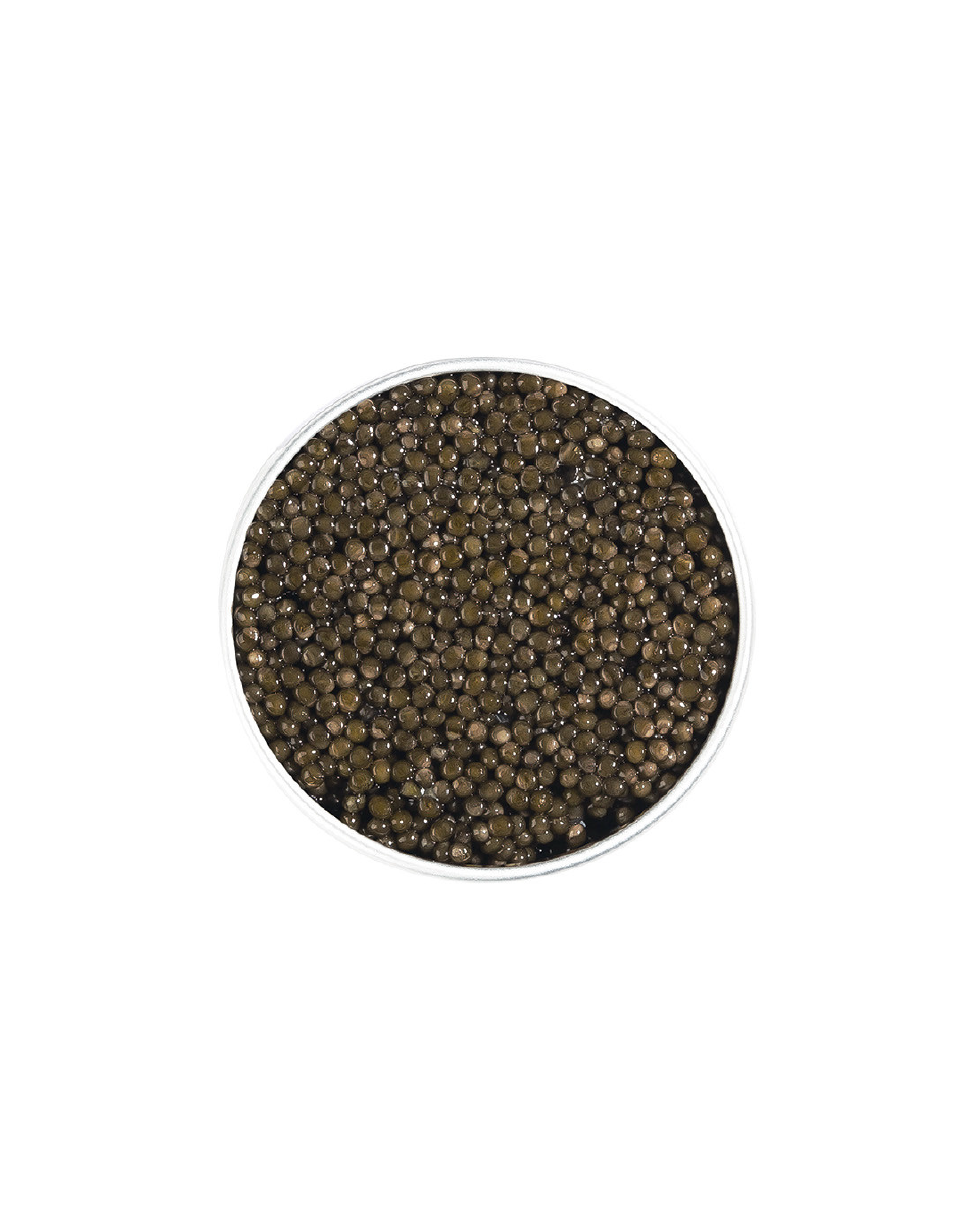 Oscietre Caviar