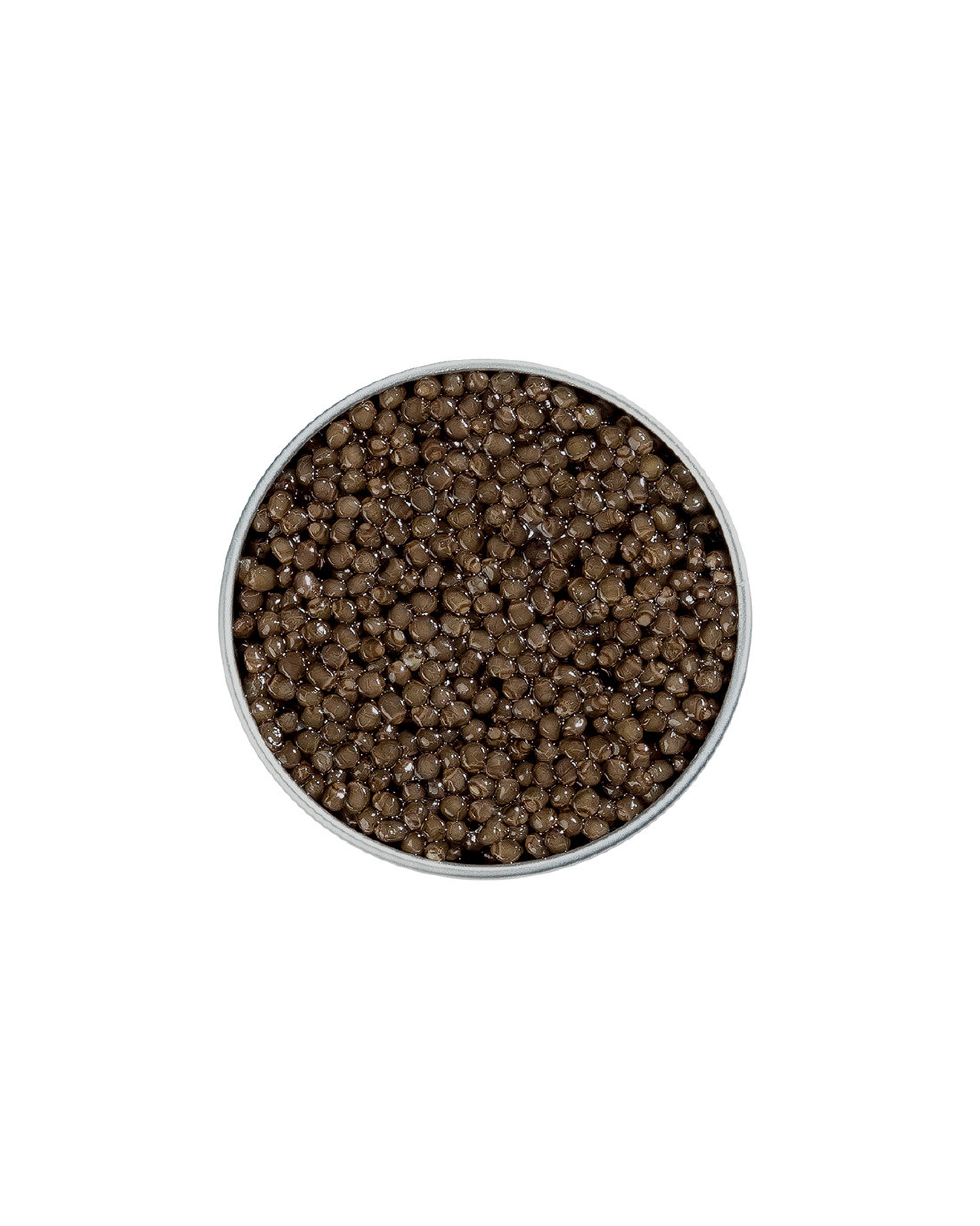 Beluga Caviar